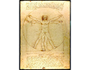 tableau de Vinci
