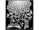 tableau de Escher