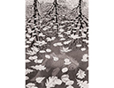 tableau de Escher