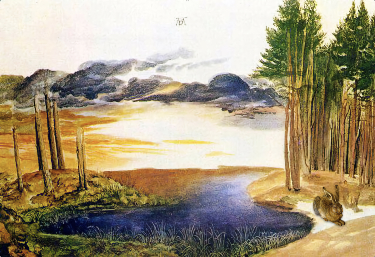 Étang en forêt 1496 - jeu de l'intrus